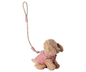Pet supply, Harness and leash - Rose